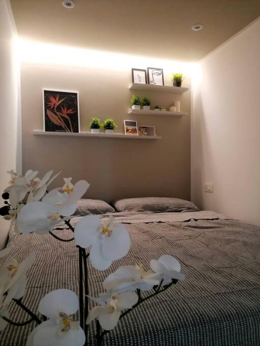 Monolocale Niki -