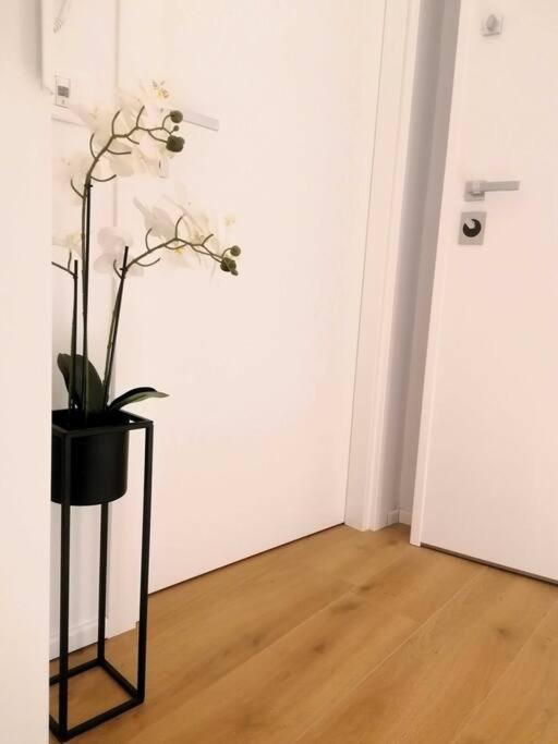 Monolocale Niki - Apartamento *